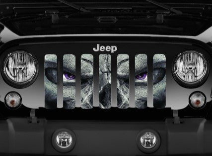 Always Watching (PURPLE Eyes) Grille Insert