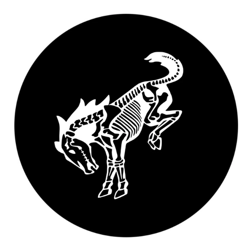 Bronco Horse Skeleton Spare Tire Cover