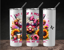 Bit of a Mess But Doing My Best 20 OZ Skinny Tumbler