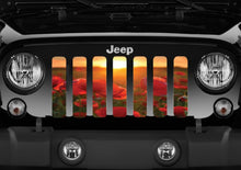 Custom Design Grille Insert