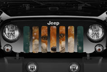 Custom Design Grille Insert