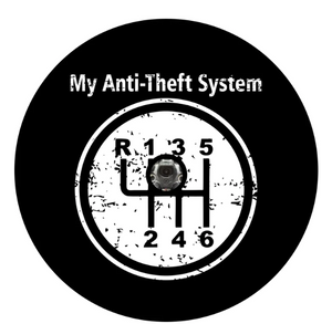 Anti-Theft System Manual Transmission Stick Shift Spare Tire Cover