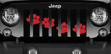 Platinum Puppy Paw Prints - Rubicon Red Diagonal Grille Insert