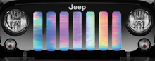 Rainbow Chrome Grille Insert