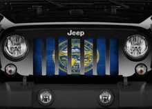 Nebraska Grunge State Flag Grille Insert
