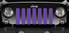 Solid Purple Grille Insert