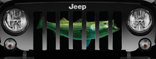 Striped Bass Grille Insert