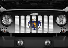 Waving Massachusetts State Flag Grille Insert