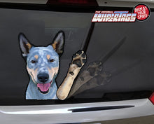 Blue Heeler "Shiloh" Waving Dog WiperTags