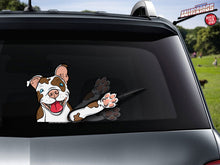 Rescue Dog Daisy the Pitbull Waving WiperTags
