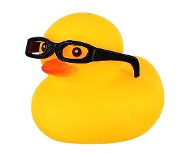 Rubber Duck With Glasses