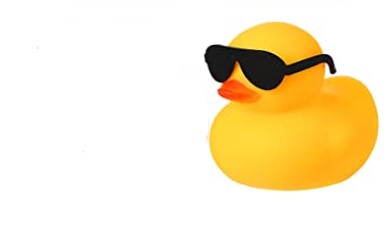 Rubber Duck With Sunglasses