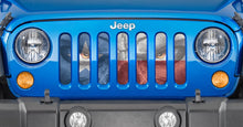 Angry Texan Jeep Grille Insert