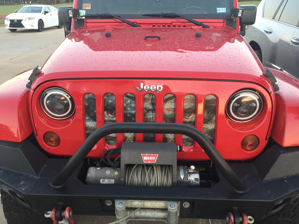 Grillete en D para Jeep Patriot rojo con recubrimiento en polvo de 3/4  pulgadas (individual) (recuperación de vehículos 4x4)