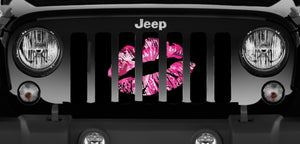 Pink Ombre Kiss Jeep Grille Insert