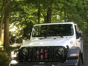 Pink Ombre Kiss Jeep Grille Insert