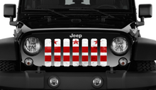 District of Columbia DC Grunge State Flag Jeep Grille Insert