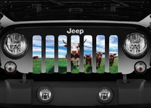 Home On The Range Jeep Grille Insert