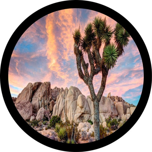 Joshua Tree National Park Spare Tire Cover