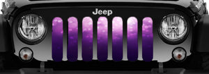 Ladies Night Purple & Pink Ombre Jeep Grille Insert