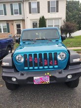 Puppy Paw Prints - Pink Diagonal- Jeep Grille Insert