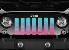 Pink and Teal Jeep Grille Insert