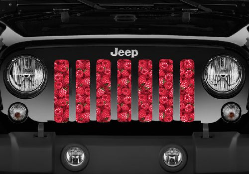 Raspberry Fields Jeep Grille Insert