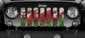 Rustic Welsh Dragon Flag Jeep Grille Insert