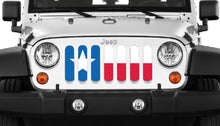 Texas State Flag Jeep Grille Insert